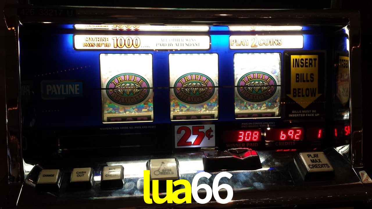 Sports Statistics lua66